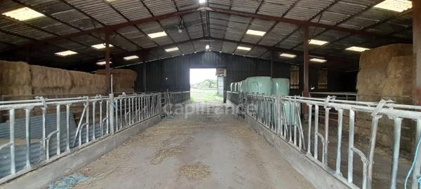 Longère à vendre 4 pièces LURCY LEVIS (03)