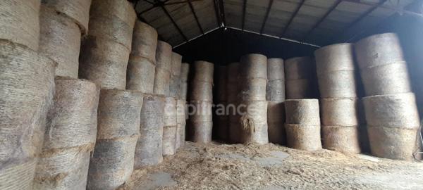 Longère à vendre 4 pièces LURCY LEVIS (03)