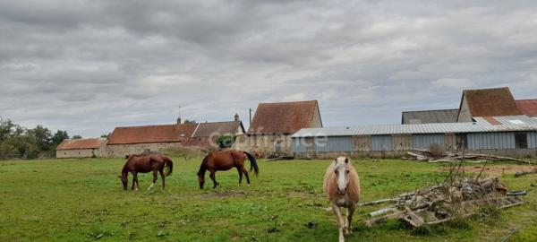 Longère à vendre 4 pièces LURCY LEVIS (03)