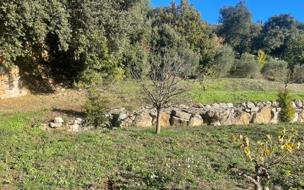 Terrain à vendre    Flassans-sur-Issole