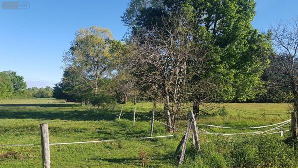 Maison à vendre à Saint-Georges-sur-la-Prée dans le Cher (18100), ref : 41036/3184