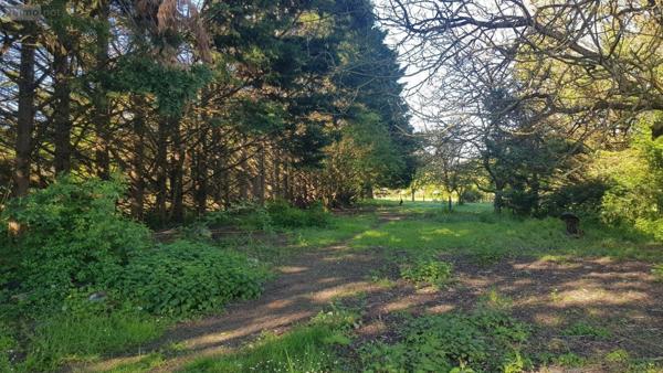 Maison à vendre à Saint-Georges-sur-la-Prée dans le Cher (18100), ref : 41036/3184