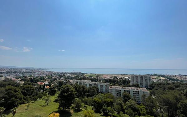 Appartement à louer    2 pièces •  Cagnes-sur-Mer