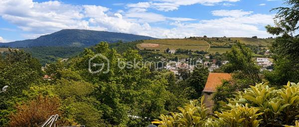 Ancien hôtel réaménagé en chambres d'hôtes et gîtes, cet ensemble immobilier offre une importante capacité d'accueil et de nombreuses possibilités d'exploitation.

Il comprend plusieurs chambres, appartements et gîtes indépendants, la plupart équipés de leur salle d'eau privative, ainsi que de beaux espaces communs : salon, réception, salle à manger avec espace bar, cuisines équipées, buanderie et grande terrasse. Le sous-sol dispose de nombreux espaces de stockage ainsi que d'un local commercial avec bureau et pièces annexes.

À l'extérieur, vous profiterez d'un grand parking privatif, d'un jardin, de plusieurs terrasses et d'une maisonnette de stockage.

Une partie du deuxième étage reste à rénover, offrant un potentiel supplémentaire pour augmenter la capacité d'accueil ou adapter les lieux à votre projet.

Grâce à sa configuration, ce bien conviendra parfaitement à une activité d'hôtel, de chambres d'hôtes, de gîtes ou de location touristique. Il se prête particulièrement à la création d'un hôtel d'étape, avec la possibilité d'habiter sur place tout en exploitant l'activité. Sa conception permet une gestion familiale ou en couple, idéale pour un projet de reconversion ou de développement professionnel.

Une opportunité rare pour les investisseurs et les porteurs de projets à la recherche d'un établissement clé pour développer une activité touristique.