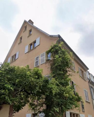 Vente Appartement 6 pièces 207 m2 à Colmar