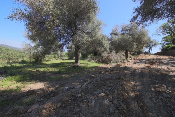 Achat terrain Rapale - 14084 m² - 990 000 €