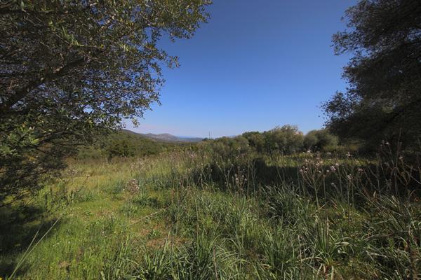 Achat terrain Rapale - 14084 m² - 990 000 €