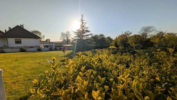 🏡 TERRAIN À BÂTIR À SELLES 🏡