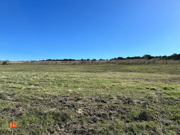 Terrain à vendre    Limoux