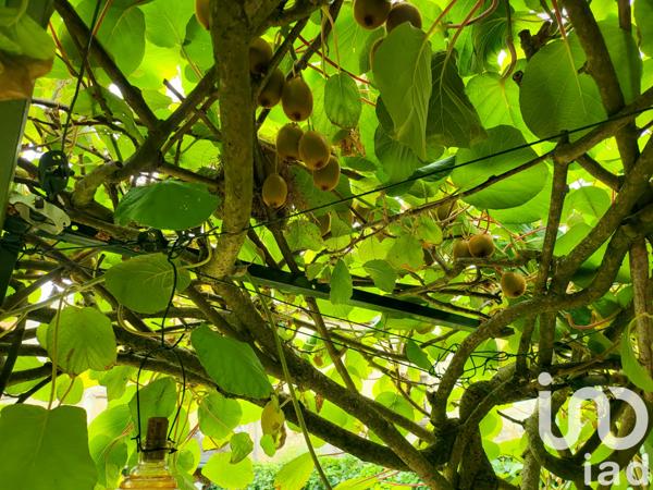 Maison à vendre 4 pièces 75 m² Châtellerault