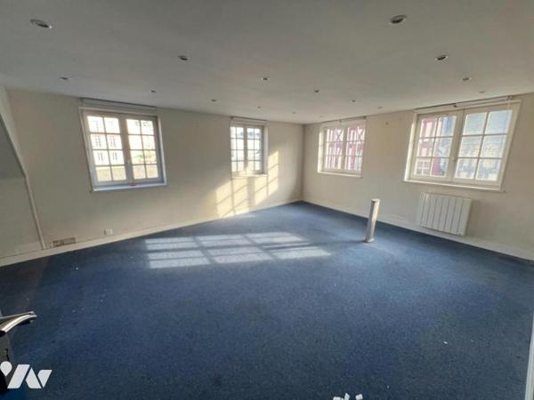 BUREAUX - LOCAUX A USAGE PROFESSIONNEL 285m²