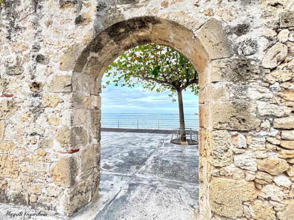 EXCLUSIVITÉ – FONDS DE COMMERCE BAZAR RECONNU – EMPLACEMENT STRATEGIQUE – REPRISE IMMEDIATE - LE MOULE (971)