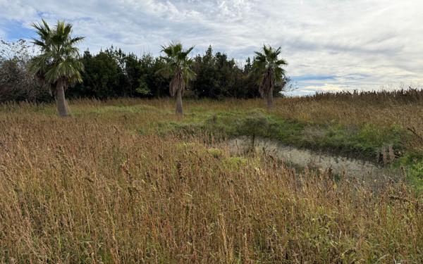 Terrain à vendre    Semussac