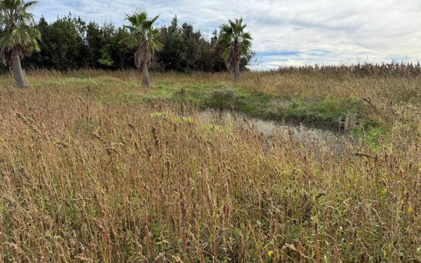 Terrain à vendre    Semussac
