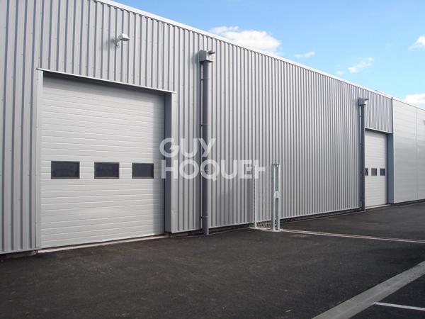 LOCAUX A LOUER 200 m2 /300 m2