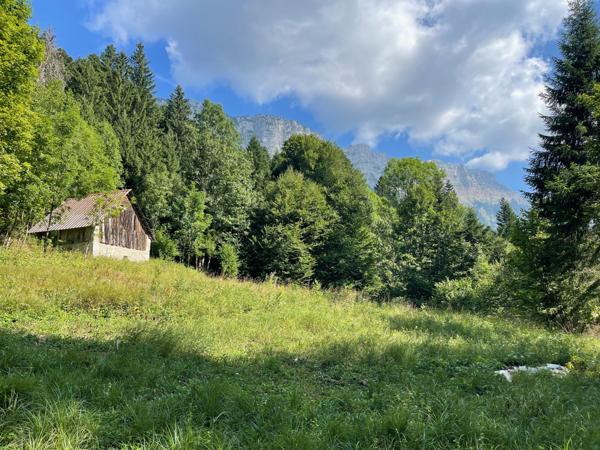 Saint-Pierre-d'Entremont (38380) Rare ! Grange à la vente - beaucoup de charme - environnement remarquable - Massif de la Chartreuse