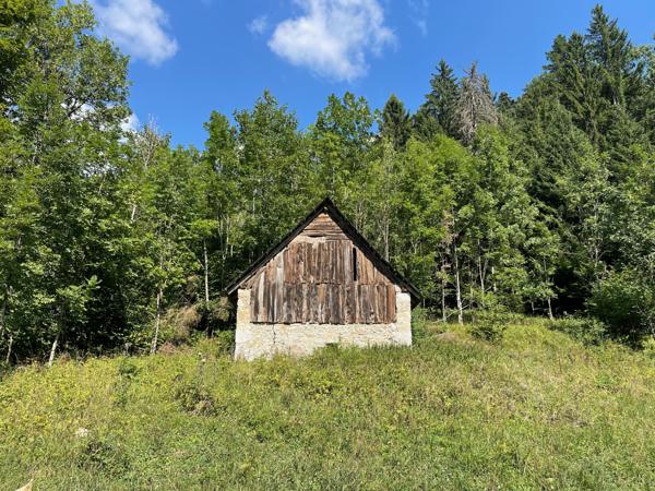 Saint-Pierre-d'Entremont (38380) Rare ! Grange à la vente - beaucoup de charme - environnement remarquable - Massif de la Chartreuse