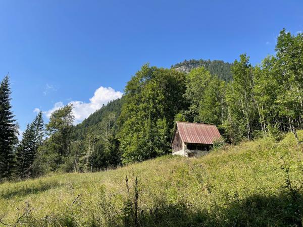 Saint-Pierre-d'Entremont (38380) Rare ! Grange à la vente - beaucoup de charme - environnement remarquable - Massif de la Chartreuse