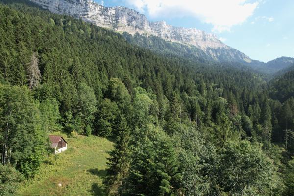 Saint-Pierre-d'Entremont (38380) Rare ! Grange à la vente - beaucoup de charme - environnement remarquable - Massif de la Chartreuse