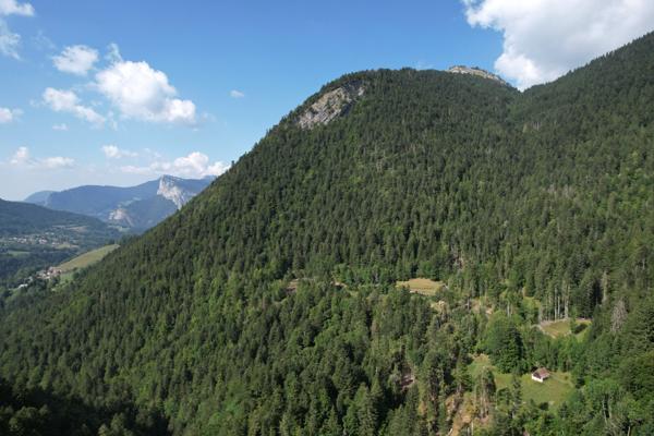 Saint-Pierre-d'Entremont (38380) Rare ! Grange à la vente - beaucoup de charme - environnement remarquable - Massif de la Chartreuse