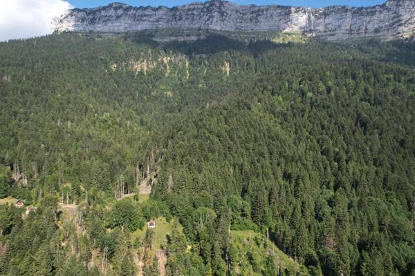 Saint-Pierre-d'Entremont (38380) Rare ! Grange à la vente - beaucoup de charme - environnement remarquable - Massif de la Chartreuse