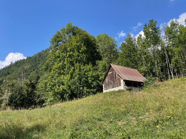 Saint-Pierre-d'Entremont (38380) Rare ! Grange à la vente - beaucoup de charme - environnement remarquable - Massif de la Chartreuse