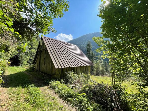 Saint-Pierre-d'Entremont (38380) Rare ! Grange à la vente - beaucoup de charme - environnement remarquable - Massif de la Chartreuse