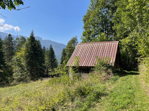 Saint-Pierre-d'Entremont (38380) Rare ! Grange à la vente - beaucoup de charme - environnement remarquable - Massif de la Chartreuse