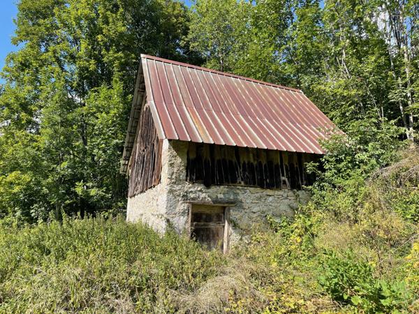 Saint-Pierre-d'Entremont (38380) Rare ! Grange à la vente - beaucoup de charme - environnement remarquable - Massif de la Chartreuse