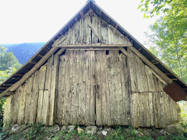Saint-Pierre-d'Entremont (38380) Rare ! Grange à la vente - beaucoup de charme - environnement remarquable - Massif de la Chartreuse