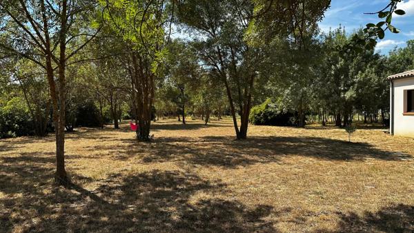 Plain-pied 2024 – Villemoustaussou – 1 500 m²