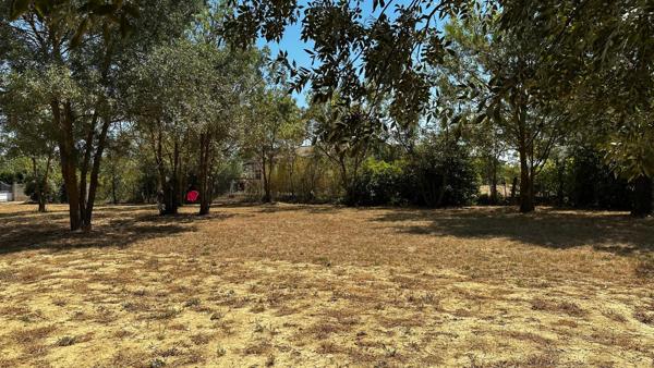 Plain-pied 2024 – Villemoustaussou – 1 500 m²