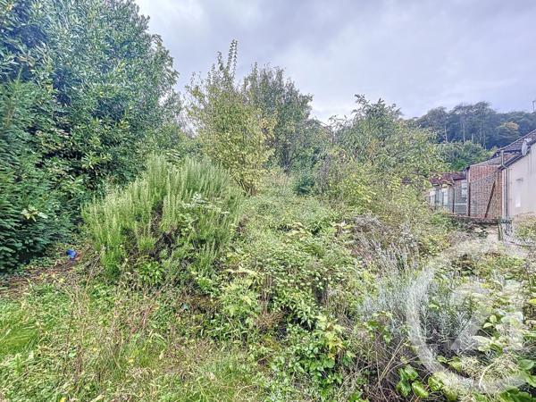 Maison à vendre  5 pièces - 231,90 m2 AVIZE - 51