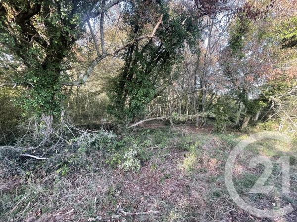 Terrain à vendre  40623 m2 MONTPON MENESTEROL - 24