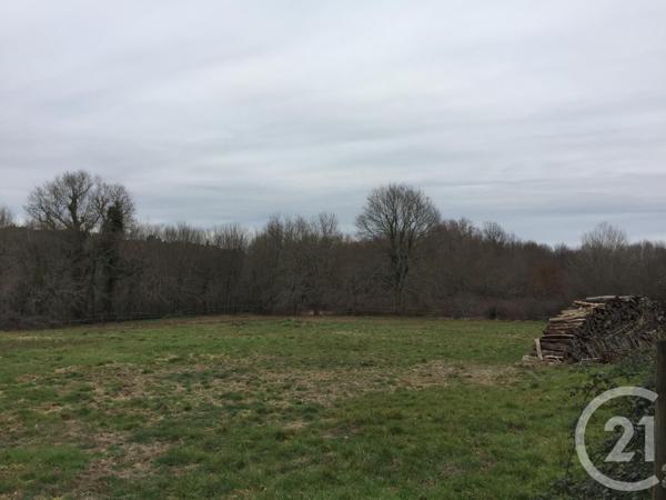 Terrain à vendre  40623 m2 MONTPON MENESTEROL - 24