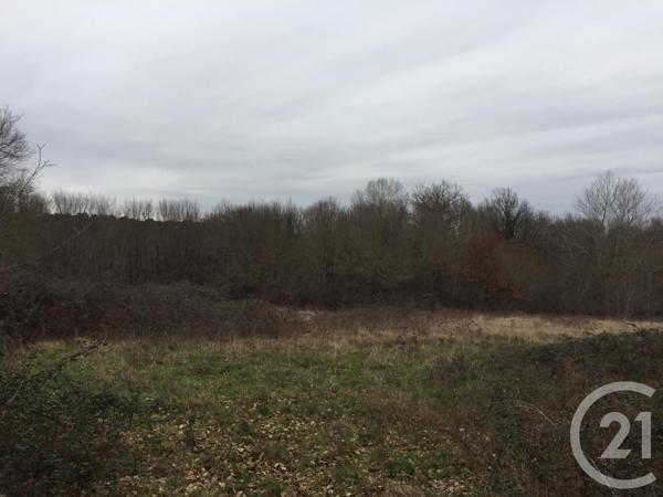 Terrain à vendre  40623 m2 MONTPON MENESTEROL - 24