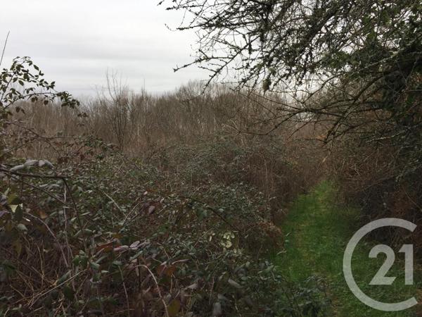 Terrain à vendre  40623 m2 MONTPON MENESTEROL - 24