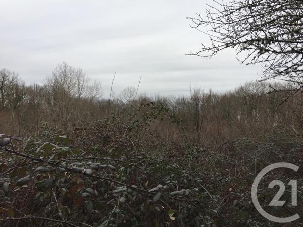 Terrain à vendre  40623 m2 MONTPON MENESTEROL - 24