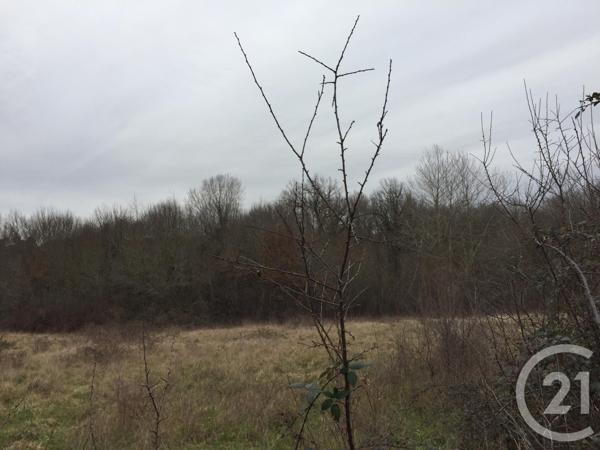 Terrain à vendre  40623 m2 MONTPON MENESTEROL - 24