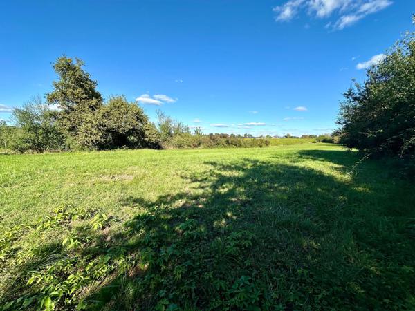 Maison T5 d'environ 100m² avec combles aménageables, dépendance non attenante sur un terrain de 4300m² en totalité.