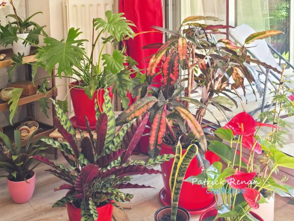 Appartement à vendre 5 pièces T5 LE CHESNAY (78)