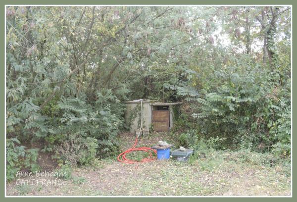 A vendre Condom - Maison individuelle 133m2 avec sous-sol - Terrain 5000m2