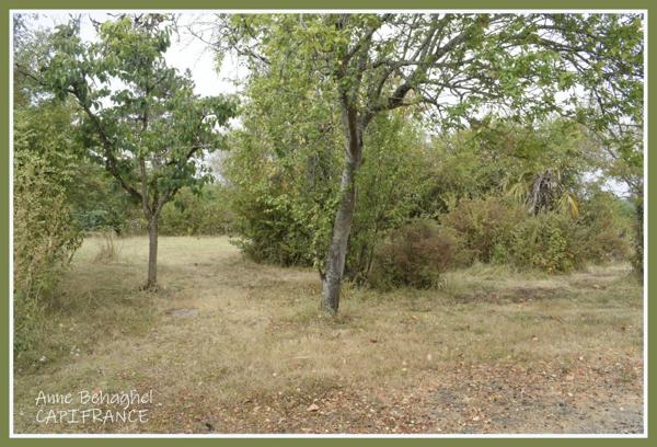 A vendre Condom - Maison individuelle 133m2 avec sous-sol - Terrain 5000m2