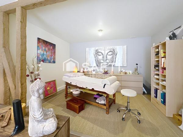 Propriété de 250m2 avec piscine et sous sol aménagé pour activité professionnelle - 20 km de Verfeil