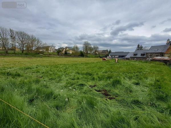 Terrain à Batir à vendre à Coltines dans le Cantal (15170), ref : 044/1129