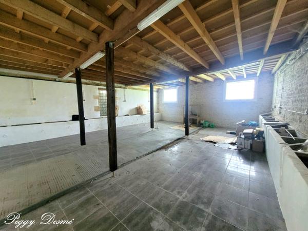 Propriété à vendre 14 pièces SAINT JEAN D'ANGELY (17) - Ancien domaine viticole, Bâti de 940 m2, Maison de maître, Dépendances.