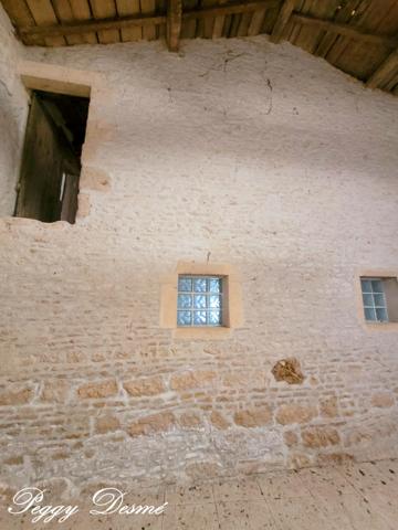 Propriété à vendre 14 pièces SAINT JEAN D'ANGELY (17) - Ancien domaine viticole, Bâti de 940 m2, Maison de maître, Dépendances.
