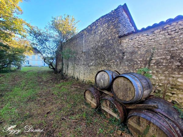 Propriété à vendre 14 pièces SAINT JEAN D'ANGELY (17) - Ancien domaine viticole, Bâti de 940 m2, Maison de maître, Dépendances.