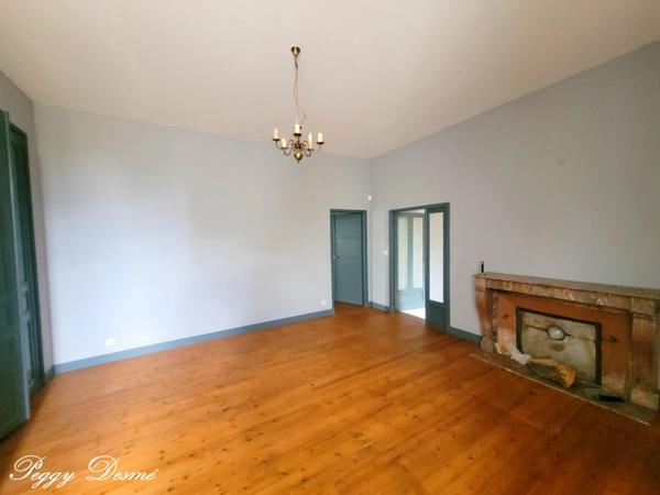 Propriété à vendre 14 pièces SAINT JEAN D'ANGELY (17) - Ancien domaine viticole, Bâti de 940 m2, Maison de maître, Dépendances.