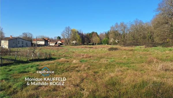 🌿 Terrain 10 850 m² – Courpière – Rare sur le secteur !